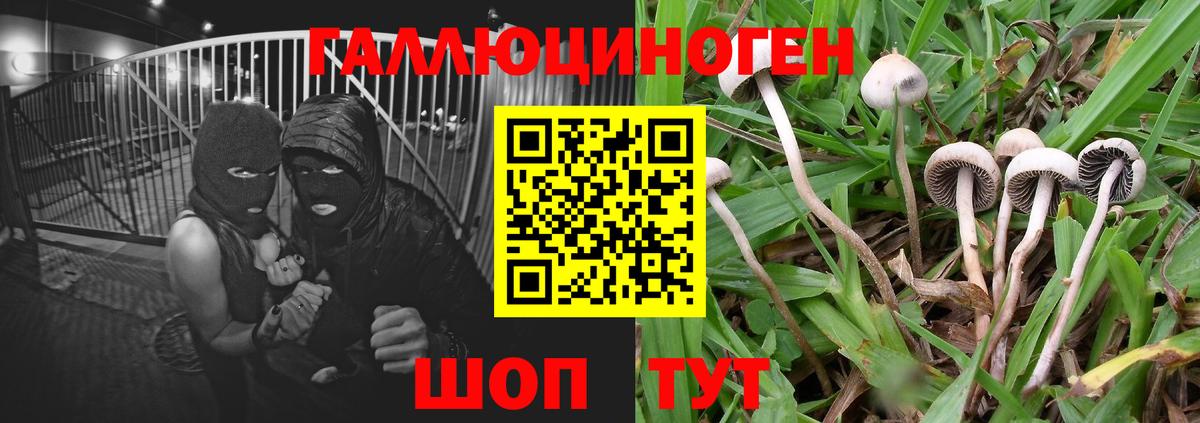Галлюциногенные грибы ЛСД  Вход с VPN  Амурск 